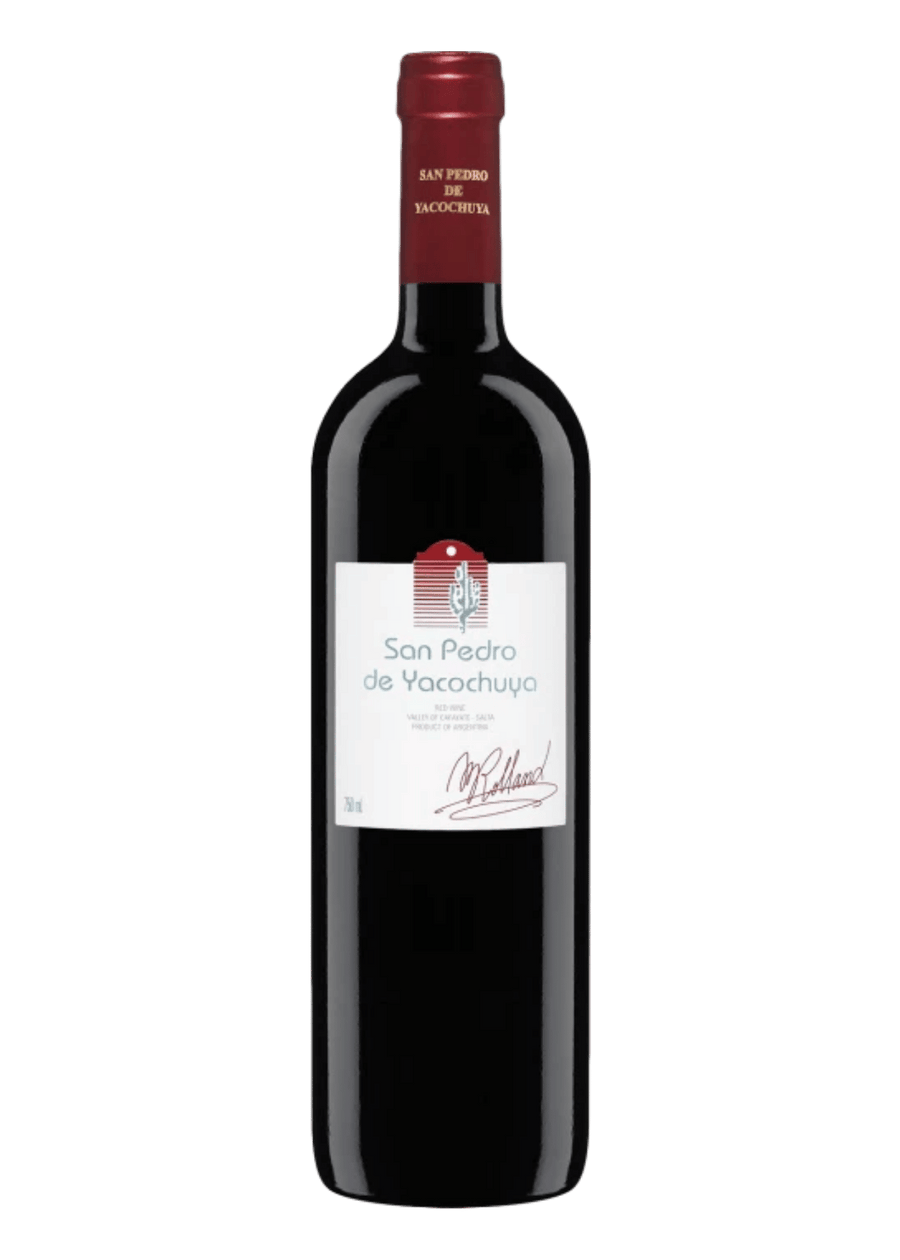 San Pedro de Yacochuya 2021 - Michel Rolland (vino d'altitudine)