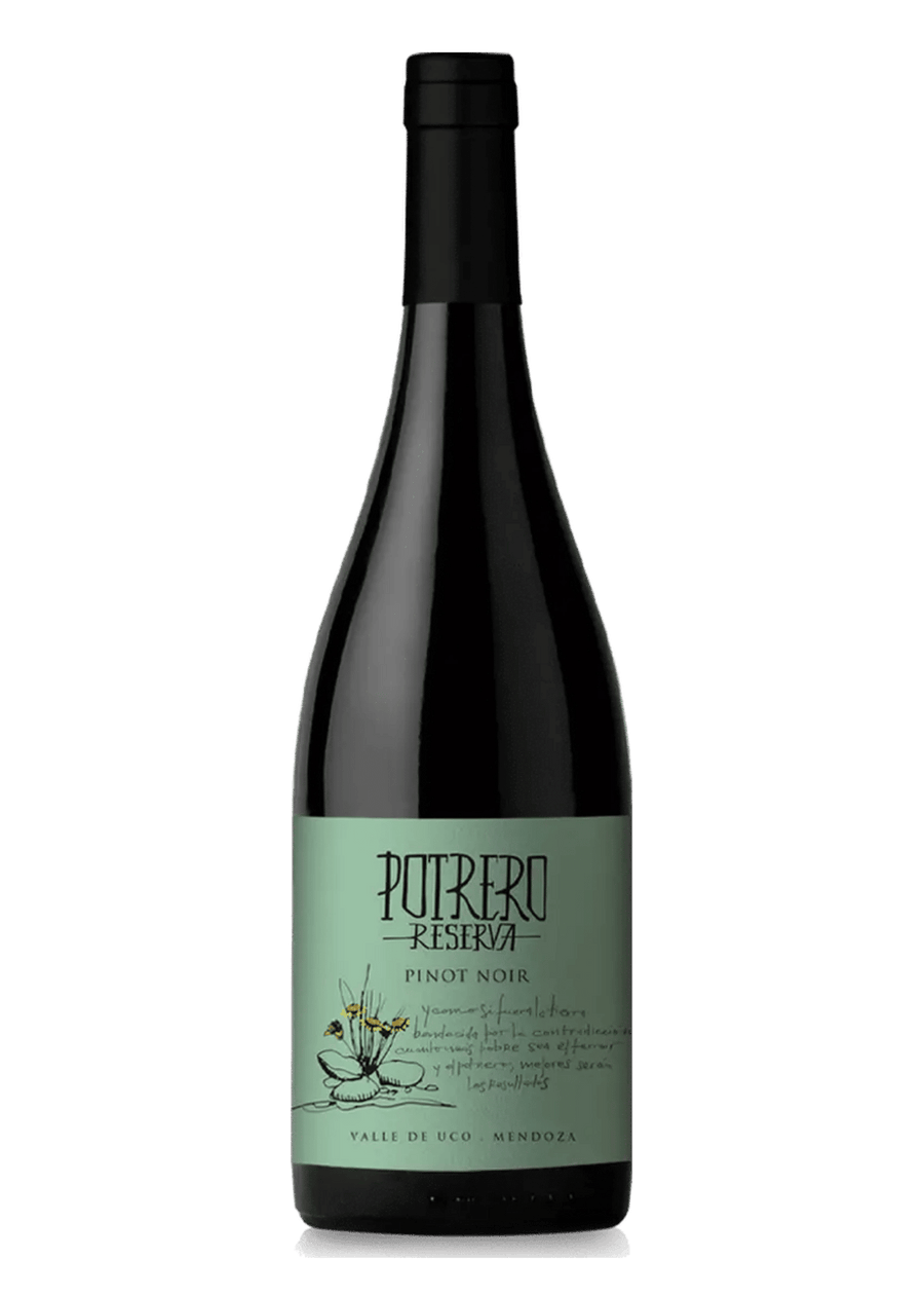 Reserva Pinot Noir 2021 - Vinos de Potrero
