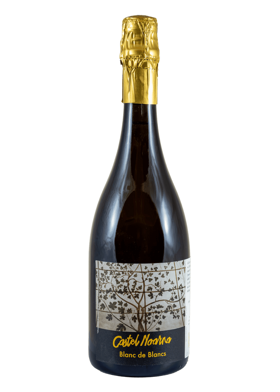 Blanc de Blancs Extra Brut Trento DOC 2018 BIO - Castel Noarna